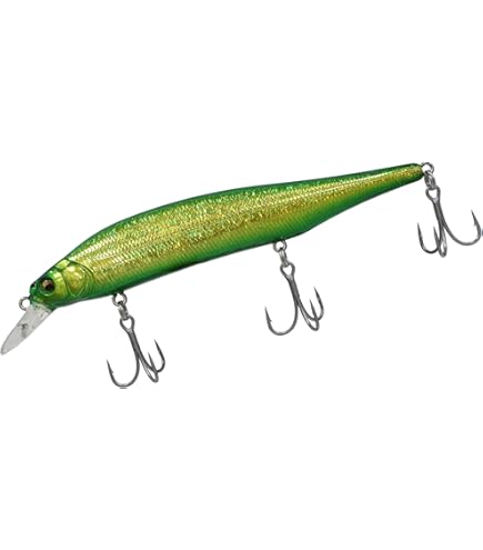 Amazon.co.jp: メガバス X-80マグナム+1 ドチャートOB